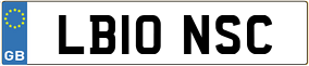 Truck License Plate